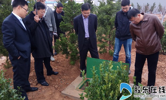 查看地埋式污水处理站运行情况 查看地埋式污水处理站运行情况
