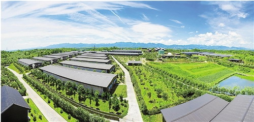 占地360多亩的“美保龙”猪场,犹如一个森林公园 占地360多亩的“美保龙”猪场,犹如一个森林公园