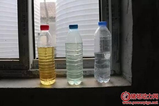 特种超滤出水、中间出水、最终出水水样对比(取样于南湖区建丰牧业有限公司)从左至右分别为超滤出 特种超滤出水、中间出水、最终出水水样对比(取样于南湖区建丰牧业有限公司)从左至右分别为超滤出