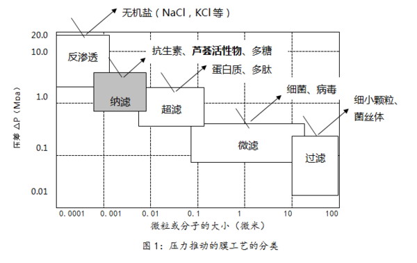 国初科技新一代芦荟汁膜浓缩技术实现节能降耗的创新