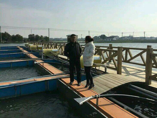 养鱼池塘工业化生态养殖模式引入了尾水净化处理设备 养鱼池塘工业化生态养殖模式引入了尾水净化处理设备