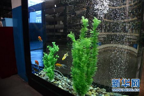 邢台德龙钢铁污水全部回收循环利用已实现污水零排放 邢台德龙钢铁污水全部回收循环利用已实现污水零排放