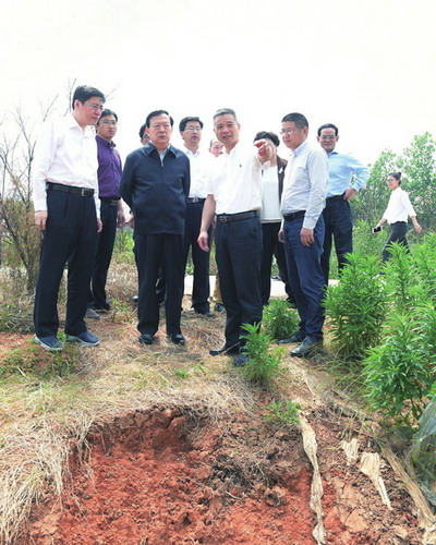 衢江区委书记吴江平(前排右二)强调:“‘三农’的转型升级不像城市建设、项目招商那样立竿见影,要下长久的功夫,要下真功夫,虽然收效慢,但能给衢江40万百姓民生福祉带来长久效益,既是良心工程,更是共产党人的责任担当。” 衢江区委书记吴江平(前排右二)强调:“‘三农’的转型升级不像城市建设、项目招商那样立竿见影,要下长久的功夫,要下真功夫,虽然收效慢,但能给衢江40万百姓民生福祉带来长久效益,既是良心工程,更是共产党人的责任担当。”