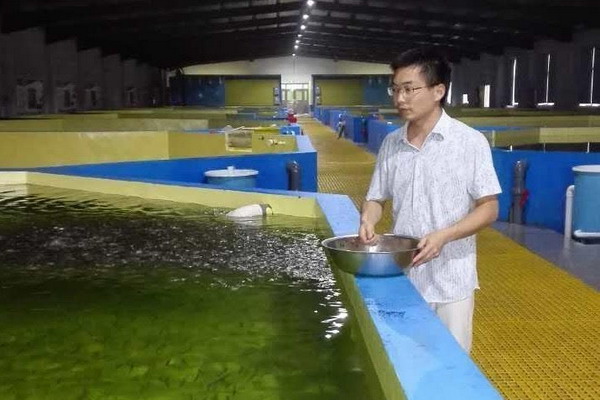 仇登高博士负责钦龙水产的技术管理及养殖规划 仇登高博士负责钦龙水产的技术管理及养殖规划