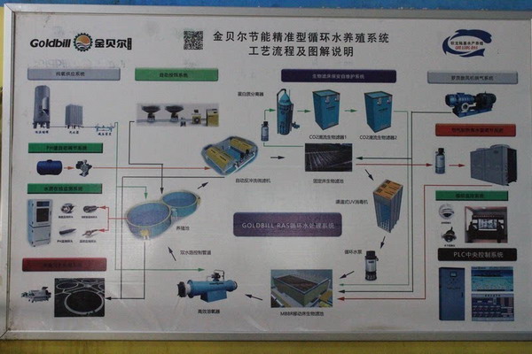 福建宁德市“循环水养殖国家标准化示范区”项目获批 福建宁德市“循环水养殖国家标准化示范区”项目获批
