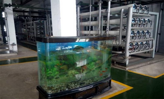 德龙钢铁污水处理厂水处理车间超滤反渗透技术三级深度处理工艺 德龙钢铁污水处理厂水处理车间超滤反渗透技术三级深度处理工艺