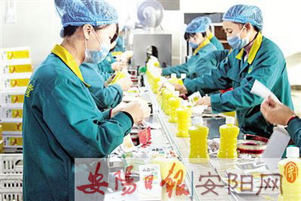 京膳堂功能性饮料项目落户河南安阳北关区饮料工业园 京膳堂功能性饮料项目落户河南安阳北关区饮料工业园