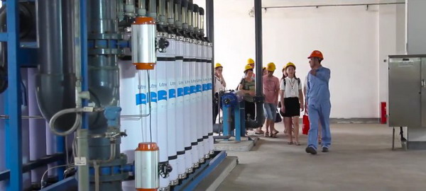 镇海炼化厂区白鹭纷飞“百鹭园”呈人与自然和谐画面 镇海炼化厂区白鹭纷飞“百鹭园”呈人与自然和谐画面
