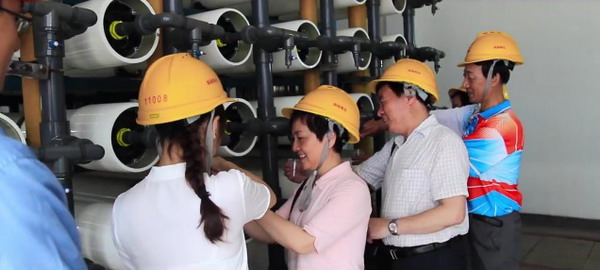 镇海炼化厂区白鹭纷飞“百鹭园”呈人与自然和谐画面 镇海炼化厂区白鹭纷飞“百鹭园”呈人与自然和谐画面