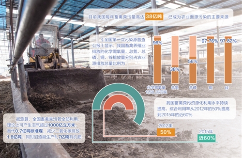 “放错了地方的资源”我国每年产生畜禽粪污约38亿吨 “放错了地方的资源”我国每年产生畜禽粪污约38亿吨