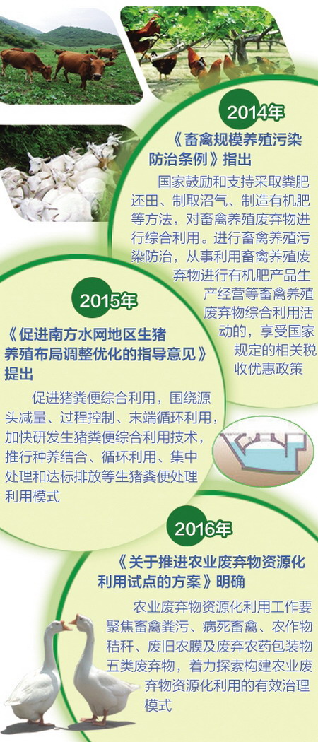 “放错了地方的资源”我国每年产生畜禽粪污约38亿吨 “放错了地方的资源”我国每年产生畜禽粪污约38亿吨