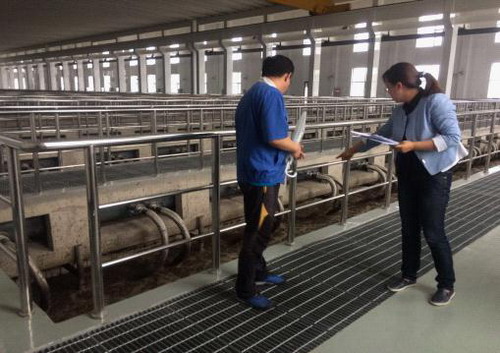 吉林市审计局审计人员在七家子污水处理厂提标改造项目现场查看20万吨MBR生化池设备安装及试运行情况 吉林市审计局审计人员在七家子污水处理厂提标改造项目现场查看20万吨MBR生化池设备安装及试运行情况