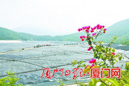 厦门最大的垃圾处理基地——位于翔安区新圩镇的东部固体废弃物处理中心 厦门最大的垃圾处理基地——位于翔安区新圩镇的东部固体废弃物处理中心
