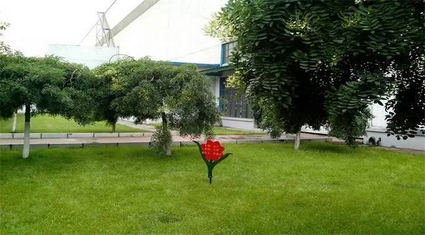 自己成为“绿水青山”德龙钢铁打造工业旅游示范企业