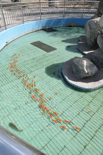 内蒙古阜丰生物膜工艺中水深度处理回用已实现产业化