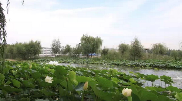 内蒙古阜丰生物膜工艺中水深度处理回用已实现产业化