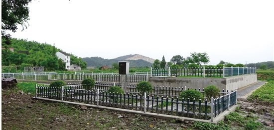 绍兴市上虞区东关街道大西庄利用膜组件净化生活污水 绍兴市上虞区东关街道大西庄利用膜组件净化生活污水