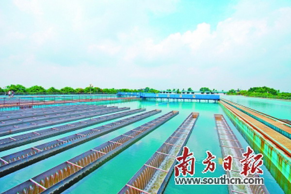 佛山水业集团沙口水厂平流池。李圭白院士团队在沙口水厂中试基地进行了3年的“超滤膜组合工艺在饮用水处理中的应用研究”实验 佛山水业集团沙口水厂平流池。李圭白院士团队在沙口水厂中试基地进行了3年的“超滤膜组合工艺在饮用水处理中的应用研究”实验