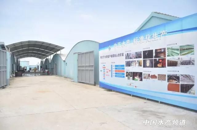 海南中正水产“南虾北移”浙江上虞再建种虾育苗基地