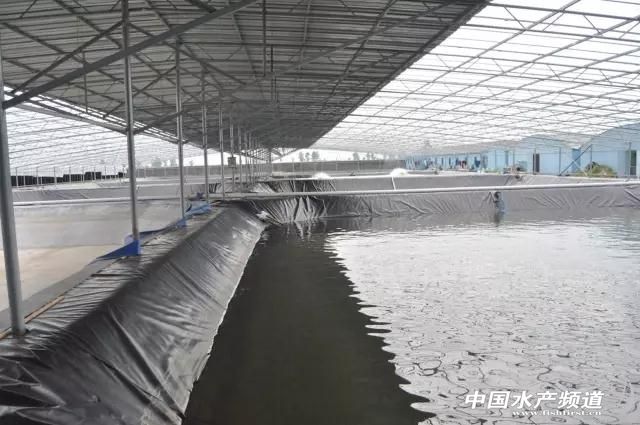 海南中正水产“南虾北移”浙江上虞再建种虾育苗基地