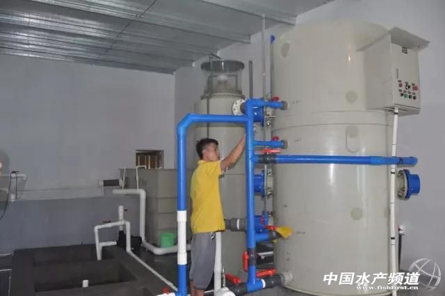 海南中正水产“南虾北移”浙江上虞再建种虾育苗基地