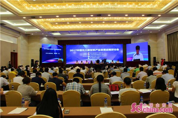 2017中国化工新材料产业发展战略研讨会 2017中国化工新材料产业发展战略研讨会