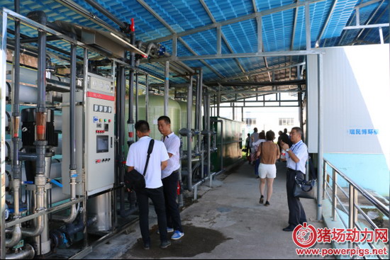 湖南瑞民博邀“中国猪业高端环保金融论坛”走访猪场