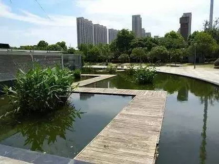 污水厂地面水景
