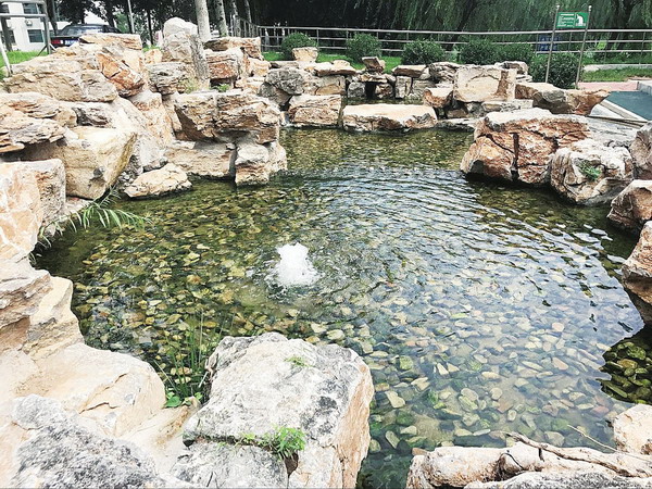 山大兴隆校区污水站一滴污水的心声:我的梦想是大海 山大兴隆校区污水站一滴污水的心声:我的梦想是大海