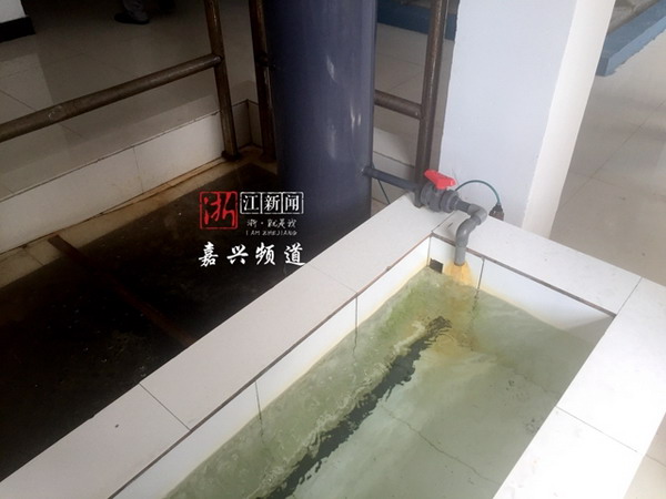 嘉兴经信委组织全市造纸行业近百人实地参观景兴纸业