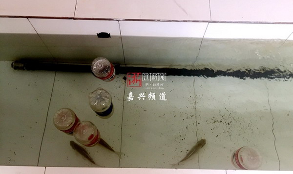 嘉兴经信委组织全市造纸行业近百人实地参观景兴纸业