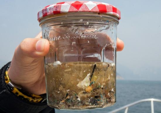 “无塑海洋”在香港海域提取的水样