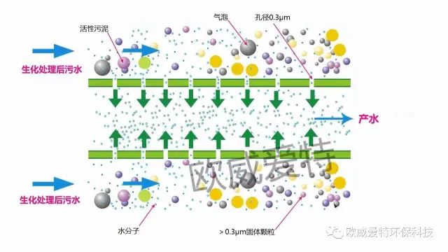 MBR(微滤)膜丝工作原理图 MBR(微滤)膜丝工作原理图
