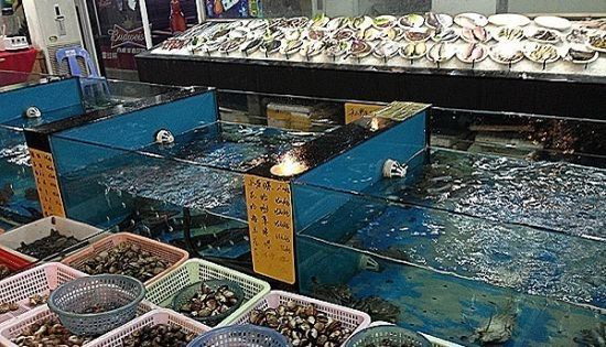 引入超滤净化设备宁波市颁授“天然海水授权使用店” 引入超滤净化设备宁波市颁授“天然海水授权使用店”