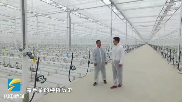 RO膜过滤配制营养餐德州市首个百亩智慧农业大棚建成 RO膜过滤配制营养餐德州市首个百亩智慧农业大棚建成