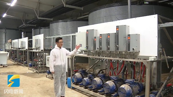 RO膜过滤配制营养餐德州市首个百亩智慧农业大棚建成 RO膜过滤配制营养餐德州市首个百亩智慧农业大棚建成