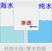水面舰艇和潜艇远航所需的淡水从哪儿来?有反渗透! 水面舰艇和潜艇远航所需的淡水从哪儿来?有反渗透!