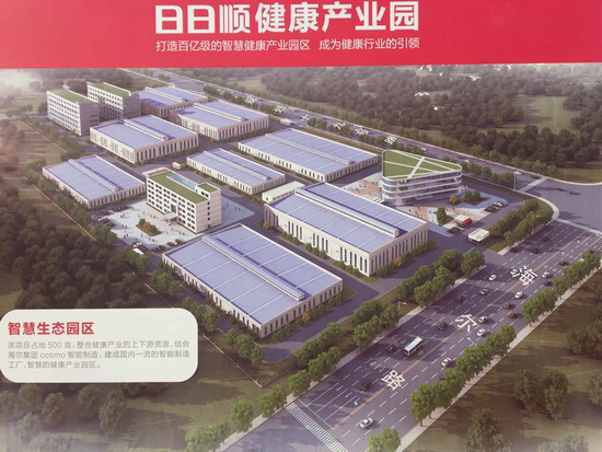 日日顺健康产业园在山东即墨市举行了隆重的奠基仪式 日日顺健康产业园在山东即墨市举行了隆重的奠基仪式