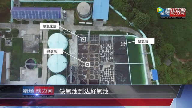 湖南鑫广安旗下路口原种猪场两级膜法处理养殖场污水