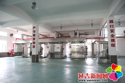 延边可喜安生物科技有限公司的投资规模、设备、技术产能均属国内同行业首屈一指，拥有世界顶尖的低温低压蒸参技术、先进的膜过滤技术、创新的浓缩提取工艺，最大限度保留了人参的营养成分，确保了红参品质。（延吉新闻网记者 付杨 摄）