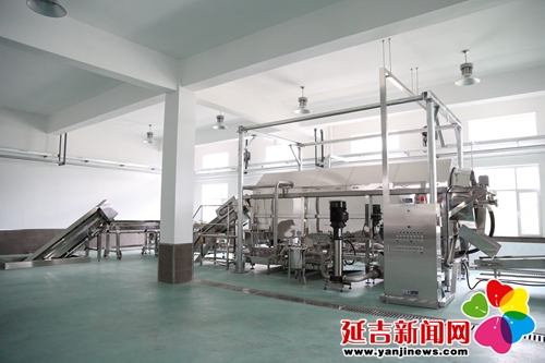 延边可喜安生物科技有限公司的投资规模、设备、技术产能均属国内同行业首屈一指，拥有世界顶尖的低温低压蒸参技术、先进的膜过滤技术、创新的浓缩提取工艺，最大限度保留了人参的营养成分，确保了红参品质。（延吉新闻网记者 付杨 摄）