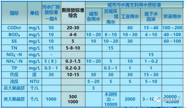 李艺：高排放标准下城镇污水处理技术与再生利用问题