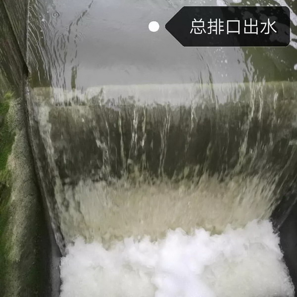 上海青浦区徐泾镇污水处理一、二期提标改造工程完工 上海青浦区徐泾镇污水处理一、二期提标改造工程完工