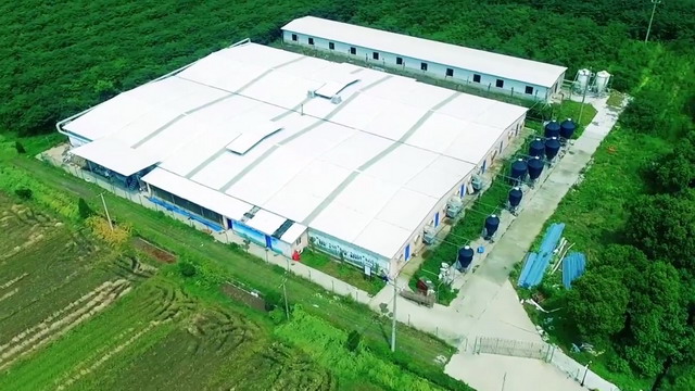 浙江桐乡市华腾牧业不仅零排放还把猪粪猪尿变废为宝 浙江桐乡市华腾牧业不仅零排放还把猪粪猪尿变废为宝