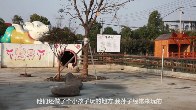 浙江桐乡市华腾牧业不仅零排放还把猪粪猪尿变废为宝 浙江桐乡市华腾牧业不仅零排放还把猪粪猪尿变废为宝