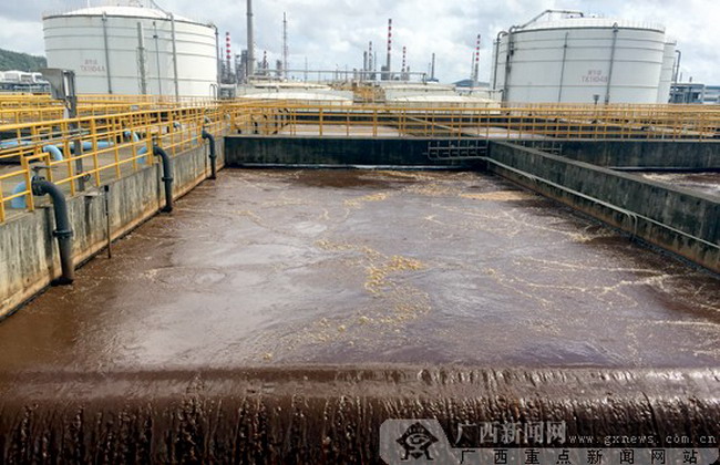 中国石油广西石化与钦州海域中华白海豚“共存共荣” 中国石油广西石化与钦州海域中华白海豚“共存共荣”