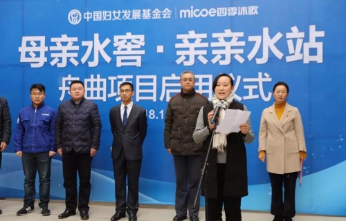 中国妇女发展基金会资助项目办主任冯星会讲话 中国妇女发展基金会资助项目办主任冯星会讲话