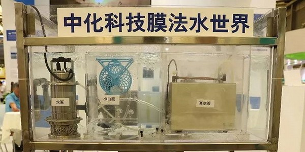 膜技术新军中化国际“脱气膜”让小白鼠能在水下生存