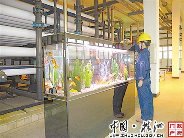 持之以恒治理工业废水株冶筑就铅锌冶炼业靓丽风景线 持之以恒治理工业废水株冶筑就铅锌冶炼业靓丽风景线