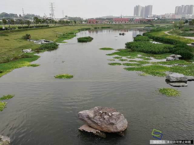 广西南宁市那考河湿地公园